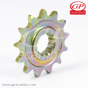 Pignone Trasmissione GasGas EC/FSE/FSR Z-14