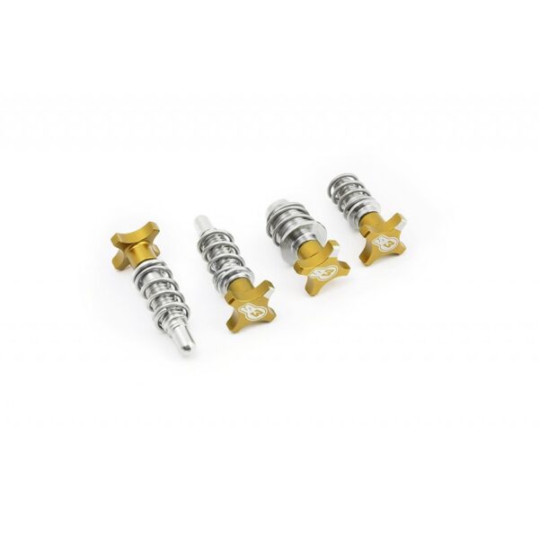 S3 - Kit Viti Regolazioni Leve/Pompe Freno/Frizione AJP/Braktec